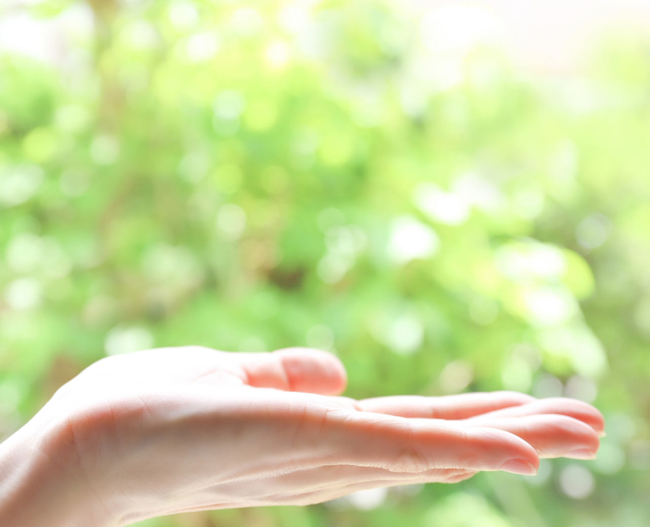 応援してくださる方へ